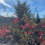 Holiday home Maison Et Piscine En Alsace, Ideal Famille Ou Amis Munster (Haut-Rhin)