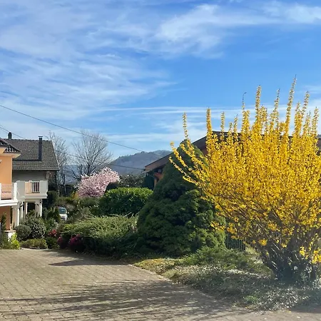 Maison L'impasse, Exterieur, Cheminee Et Piscine Chauffee L'ete Holiday home Munster (Haut-Rhin)