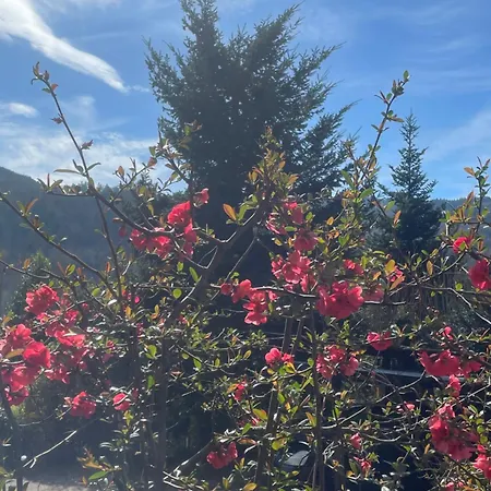 Holiday home Maison L'impasse, Exterieur, Cheminee Et Piscine Chauffee L'ete Munster (Haut-Rhin)