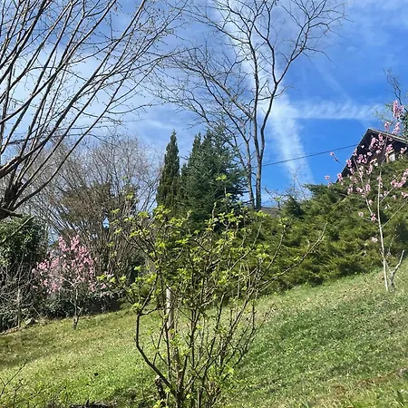 Feriehus Maison Spa Et Piscine En Alsace, Ideal Famille Ou Amis