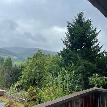 Maison L'impasse, Exterieur, Cheminee Et Piscine Chauffee L'ete * Munster (Haut-Rhin)