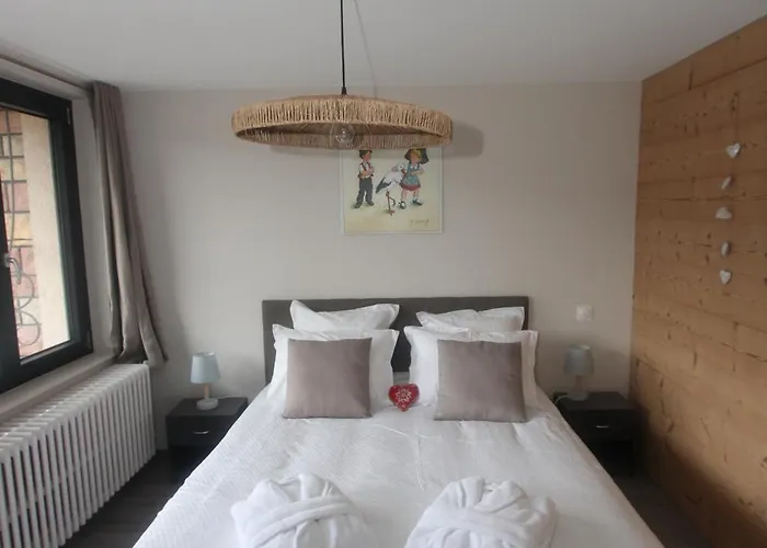 Feriehus Maison Spa Et Piscine En Alsace, Ideal Famille Ou Amis