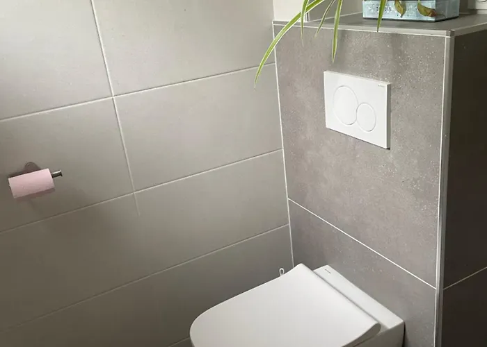 Maison Spa Et Piscine En Alsace, Ideal Famille Ou Amis *