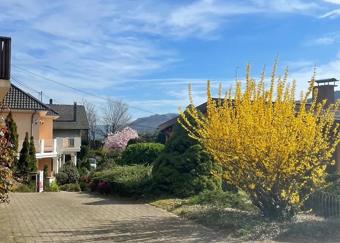 Maison Spa Et Piscine En Alsace, Ideal Famille Ou Amis Feriehus Munster (Haut-Rhin)