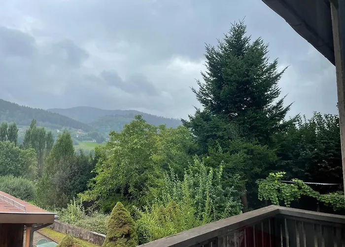 Maison Spa Et Piscine En Alsace, Ideal Famille Ou Amis * Munster (Haut-Rhin)