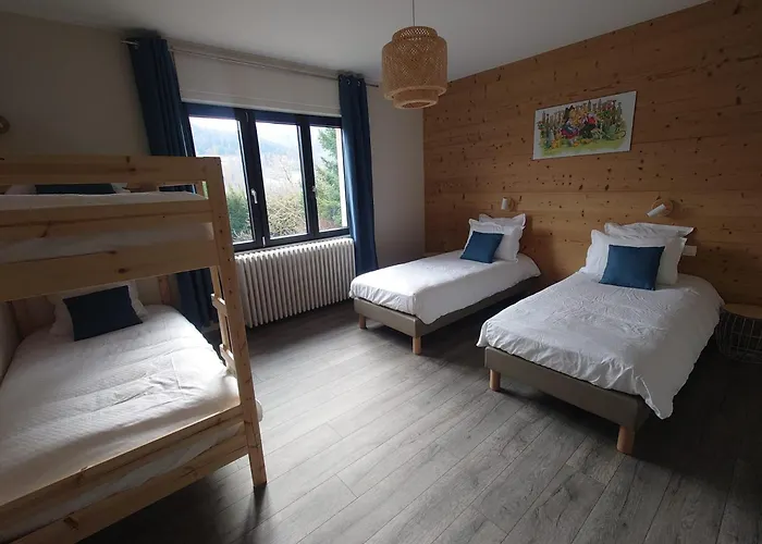 Maison Spa Et Piscine En Alsace, Ideal Famille Ou Amis